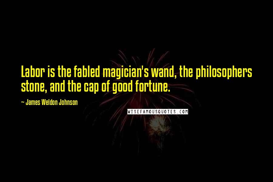 James Weldon Johnson Quotes: Labor is the fabled magician's wand, the philosophers stone, and the cap of good fortune.