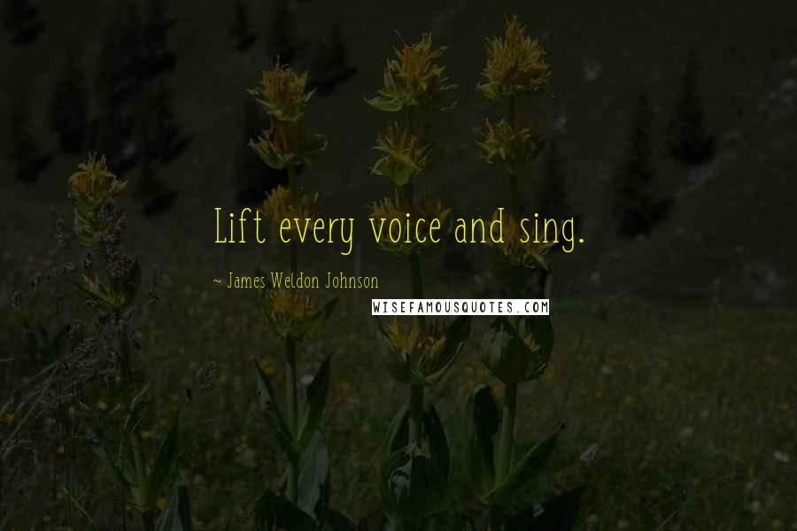 James Weldon Johnson Quotes: Lift every voice and sing.