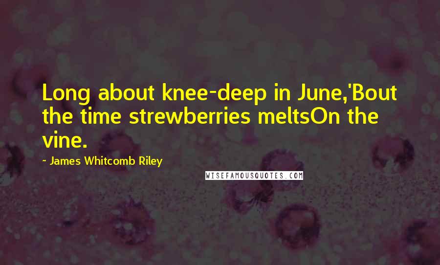 James Whitcomb Riley Quotes: Long about knee-deep in June,'Bout the time strewberries meltsOn the vine.
