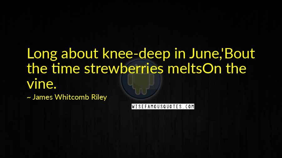 James Whitcomb Riley Quotes: Long about knee-deep in June,'Bout the time strewberries meltsOn the vine.