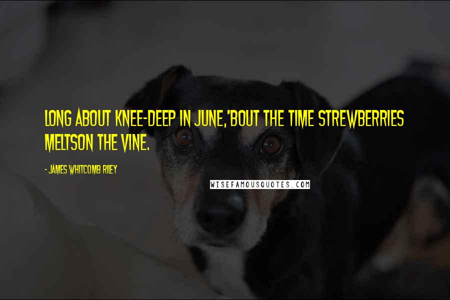 James Whitcomb Riley Quotes: Long about knee-deep in June,'Bout the time strewberries meltsOn the vine.