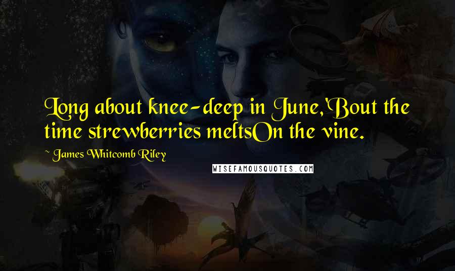 James Whitcomb Riley Quotes: Long about knee-deep in June,'Bout the time strewberries meltsOn the vine.