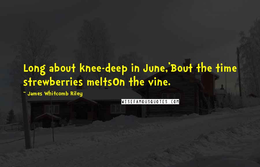 James Whitcomb Riley Quotes: Long about knee-deep in June,'Bout the time strewberries meltsOn the vine.