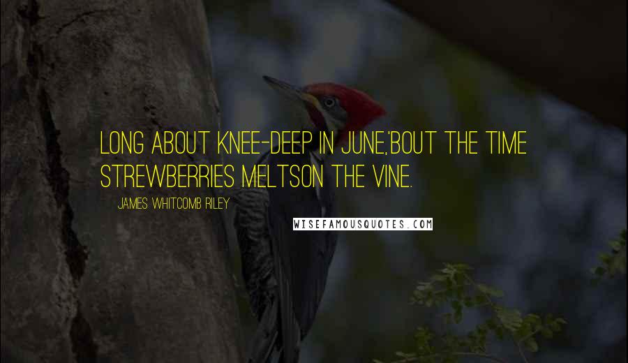 James Whitcomb Riley Quotes: Long about knee-deep in June,'Bout the time strewberries meltsOn the vine.