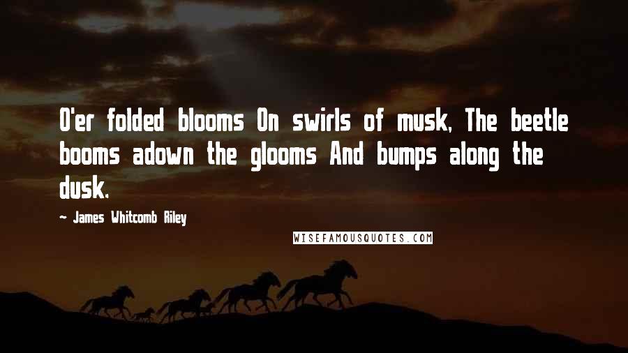 James Whitcomb Riley Quotes: O'er folded blooms On swirls of musk, The beetle booms adown the glooms And bumps along the dusk.