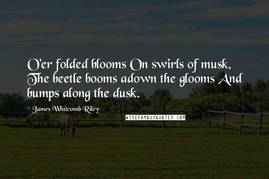 James Whitcomb Riley Quotes: O'er folded blooms On swirls of musk, The beetle booms adown the glooms And bumps along the dusk.