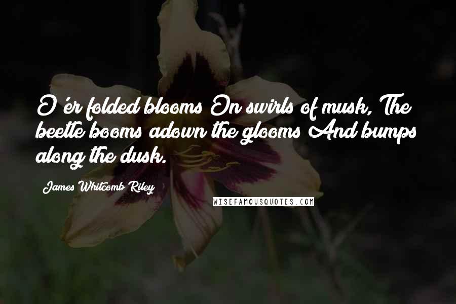 James Whitcomb Riley Quotes: O'er folded blooms On swirls of musk, The beetle booms adown the glooms And bumps along the dusk.