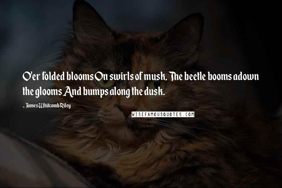 James Whitcomb Riley Quotes: O'er folded blooms On swirls of musk, The beetle booms adown the glooms And bumps along the dusk.