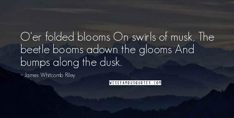 James Whitcomb Riley Quotes: O'er folded blooms On swirls of musk, The beetle booms adown the glooms And bumps along the dusk.