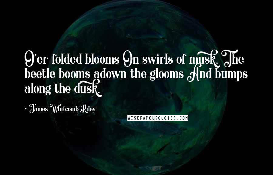 James Whitcomb Riley Quotes: O'er folded blooms On swirls of musk, The beetle booms adown the glooms And bumps along the dusk.