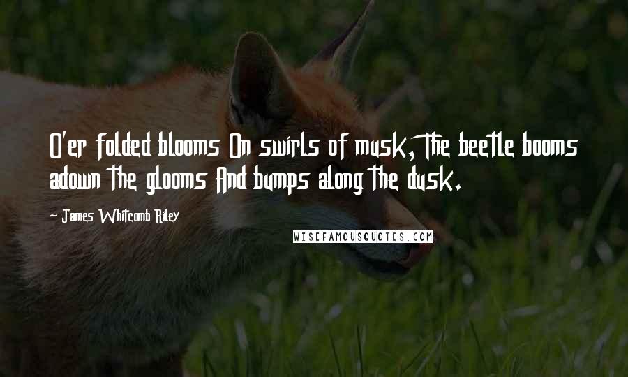 James Whitcomb Riley Quotes: O'er folded blooms On swirls of musk, The beetle booms adown the glooms And bumps along the dusk.