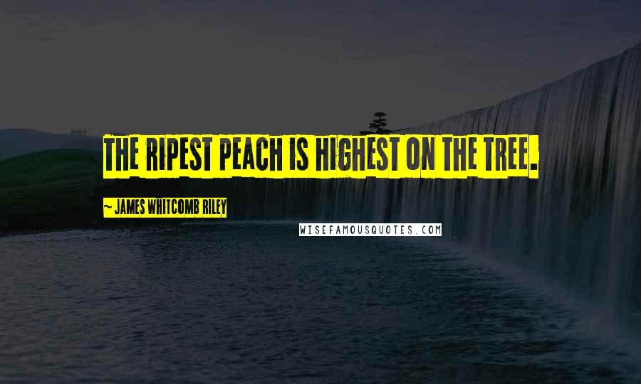 James Whitcomb Riley Quotes: The ripest peach is highest on the tree.