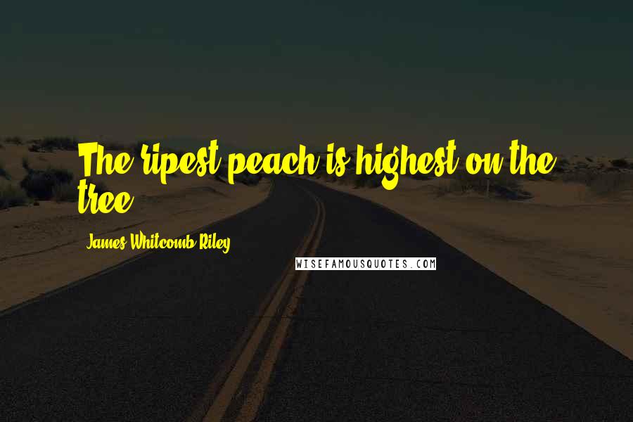 James Whitcomb Riley Quotes: The ripest peach is highest on the tree.