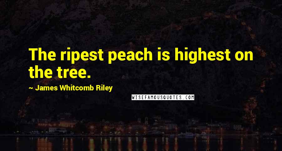 James Whitcomb Riley Quotes: The ripest peach is highest on the tree.