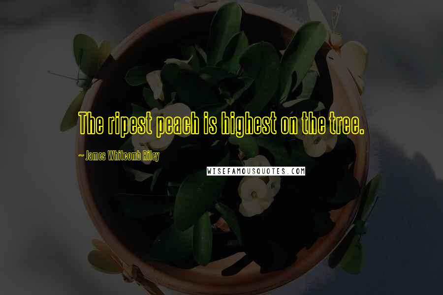 James Whitcomb Riley Quotes: The ripest peach is highest on the tree.