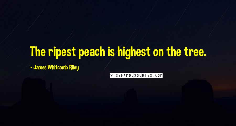 James Whitcomb Riley Quotes: The ripest peach is highest on the tree.