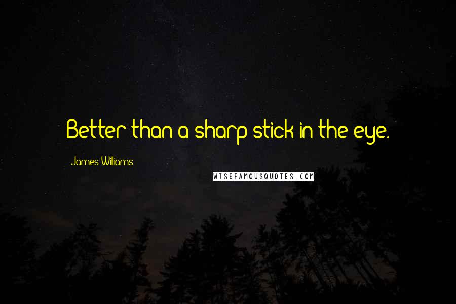 James Williams Quotes: Better than a sharp stick in the eye.