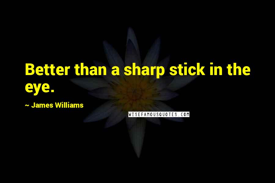 James Williams Quotes: Better than a sharp stick in the eye.