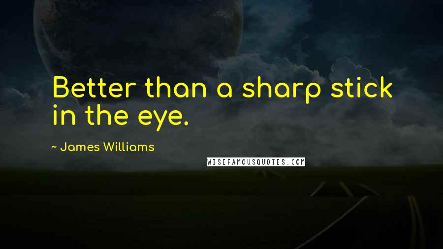 James Williams Quotes: Better than a sharp stick in the eye.