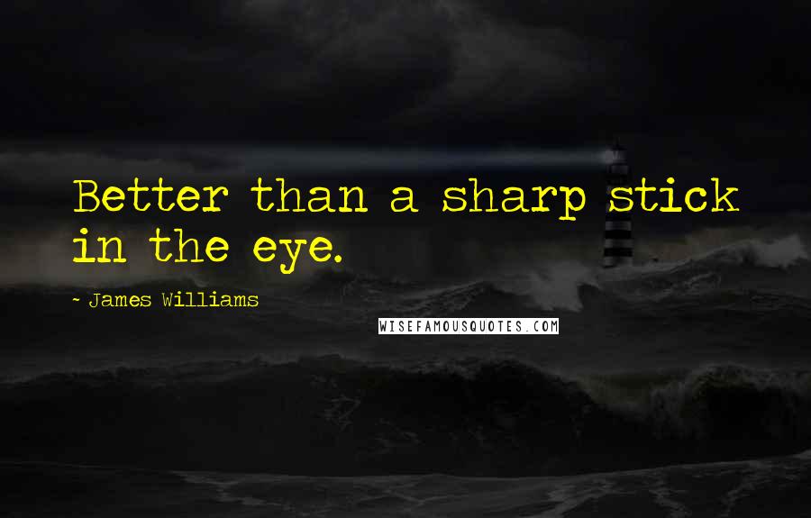 James Williams Quotes: Better than a sharp stick in the eye.