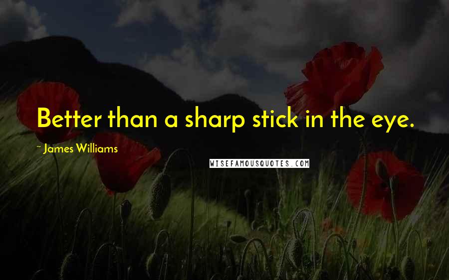 James Williams Quotes: Better than a sharp stick in the eye.