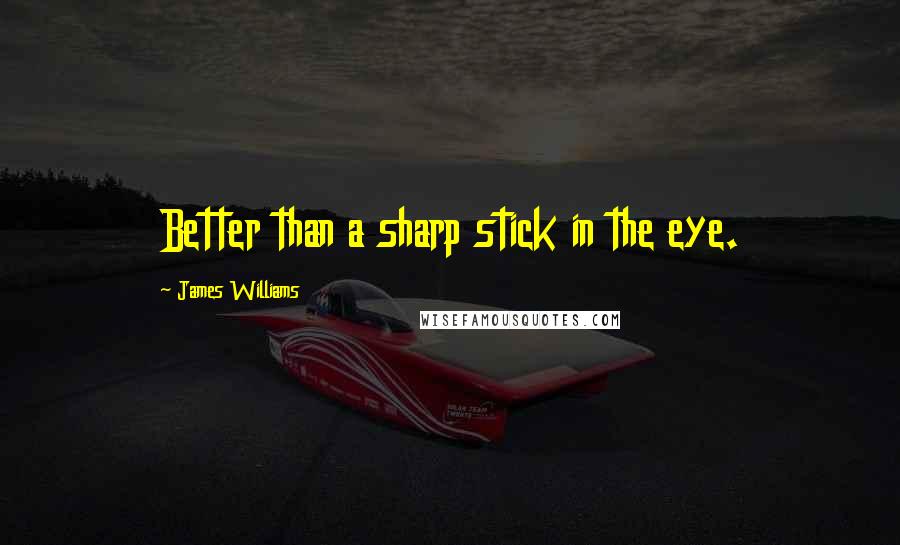 James Williams Quotes: Better than a sharp stick in the eye.