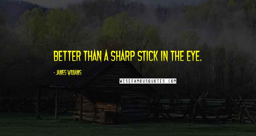 James Williams Quotes: Better than a sharp stick in the eye.