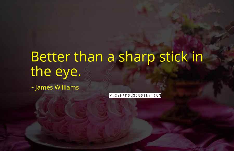 James Williams Quotes: Better than a sharp stick in the eye.