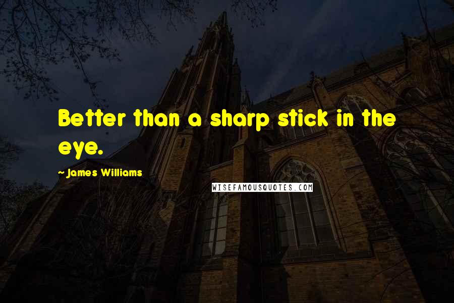 James Williams Quotes: Better than a sharp stick in the eye.