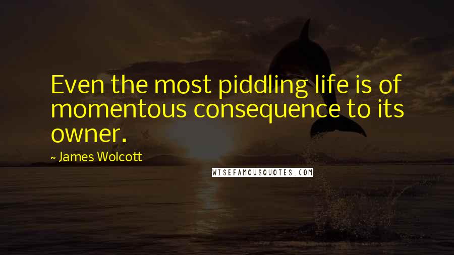 James Wolcott Quotes: Even the most piddling life is of momentous consequence to its owner.