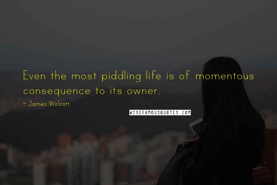James Wolcott Quotes: Even the most piddling life is of momentous consequence to its owner.