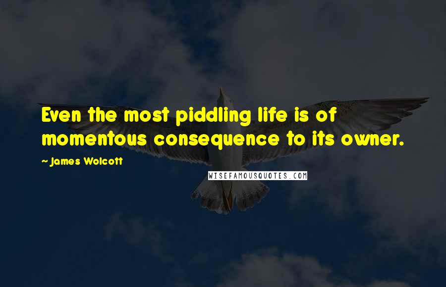 James Wolcott Quotes: Even the most piddling life is of momentous consequence to its owner.