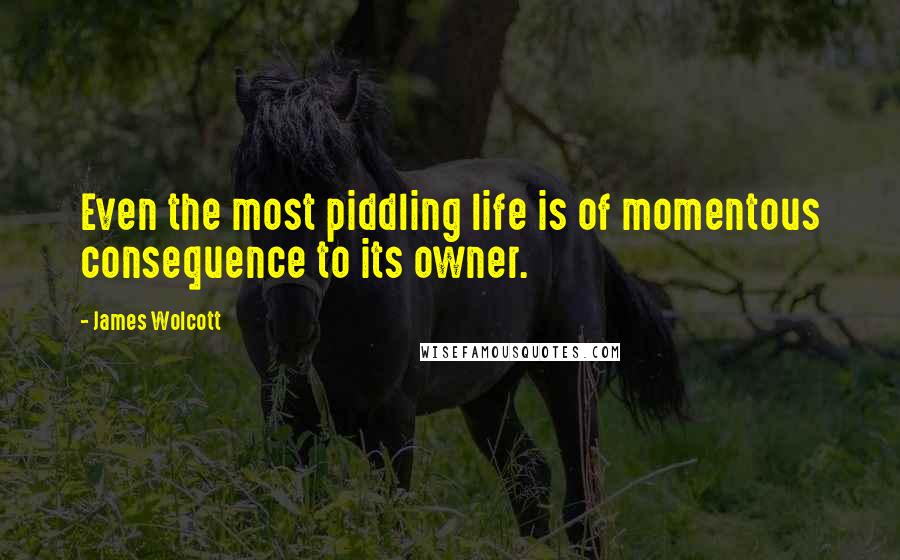 James Wolcott Quotes: Even the most piddling life is of momentous consequence to its owner.