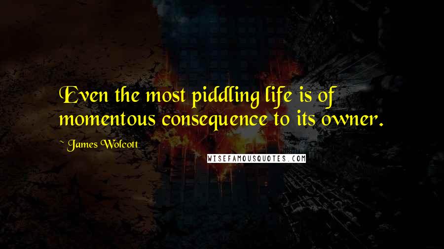 James Wolcott Quotes: Even the most piddling life is of momentous consequence to its owner.