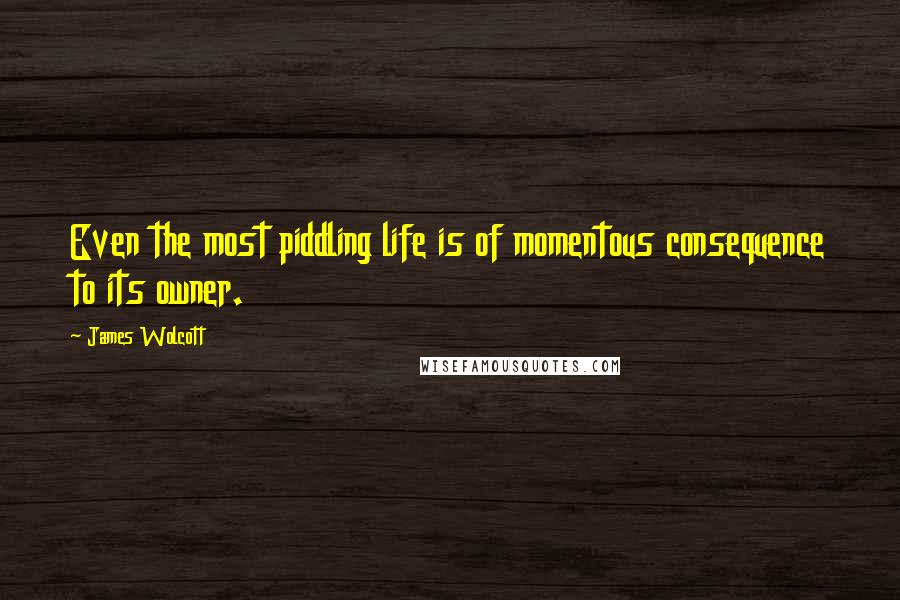 James Wolcott Quotes: Even the most piddling life is of momentous consequence to its owner.