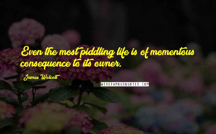 James Wolcott Quotes: Even the most piddling life is of momentous consequence to its owner.