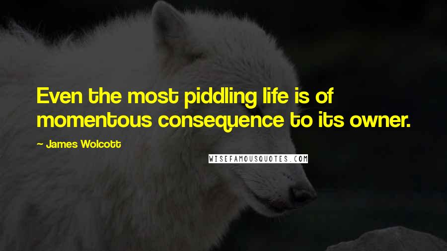 James Wolcott Quotes: Even the most piddling life is of momentous consequence to its owner.