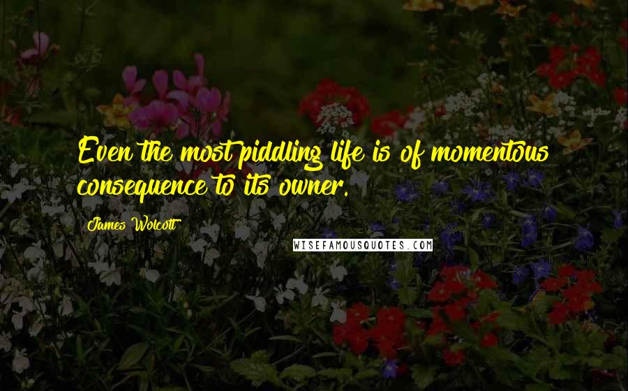 James Wolcott Quotes: Even the most piddling life is of momentous consequence to its owner.