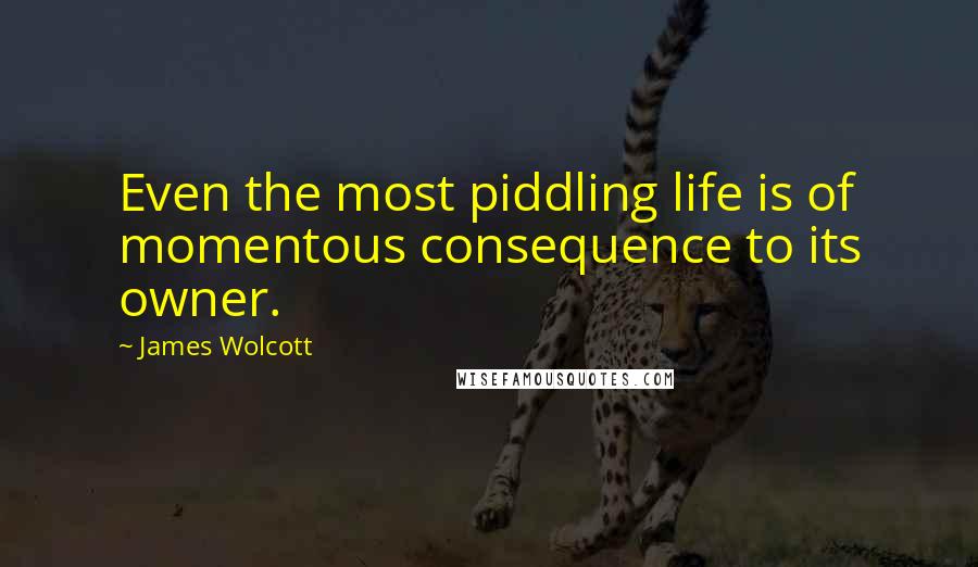 James Wolcott Quotes: Even the most piddling life is of momentous consequence to its owner.