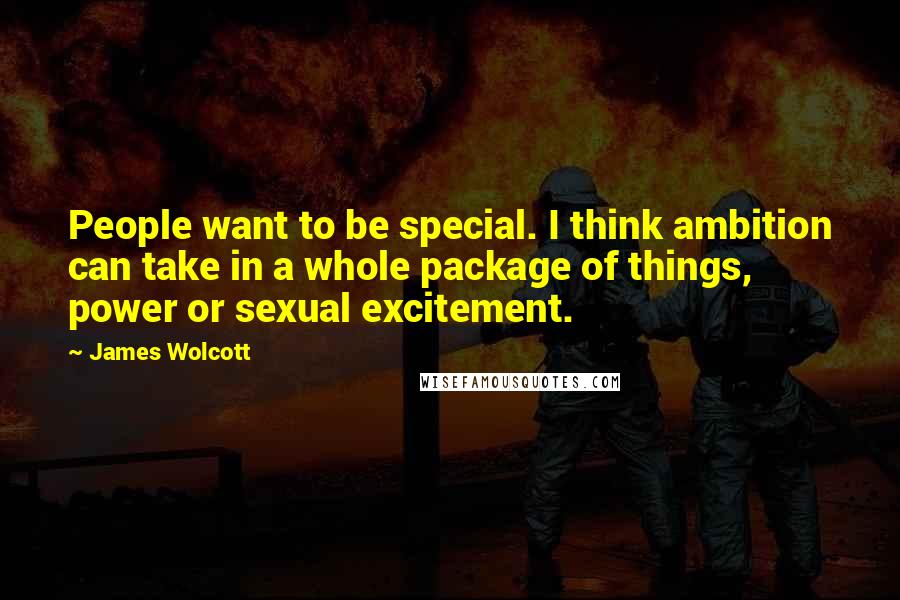 James Wolcott Quotes: People want to be special. I think ambition can take in a whole package of things, power or sexual excitement.