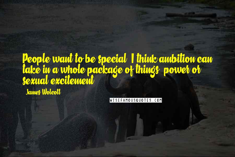 James Wolcott Quotes: People want to be special. I think ambition can take in a whole package of things, power or sexual excitement.