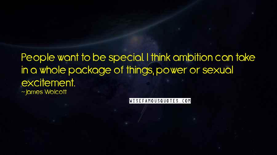 James Wolcott Quotes: People want to be special. I think ambition can take in a whole package of things, power or sexual excitement.