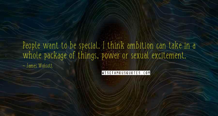 James Wolcott Quotes: People want to be special. I think ambition can take in a whole package of things, power or sexual excitement.