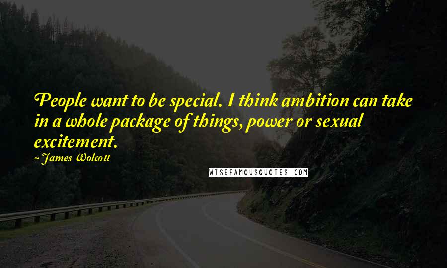 James Wolcott Quotes: People want to be special. I think ambition can take in a whole package of things, power or sexual excitement.