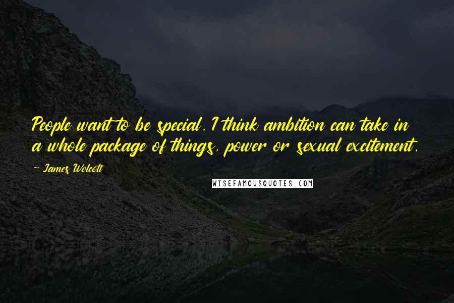 James Wolcott Quotes: People want to be special. I think ambition can take in a whole package of things, power or sexual excitement.