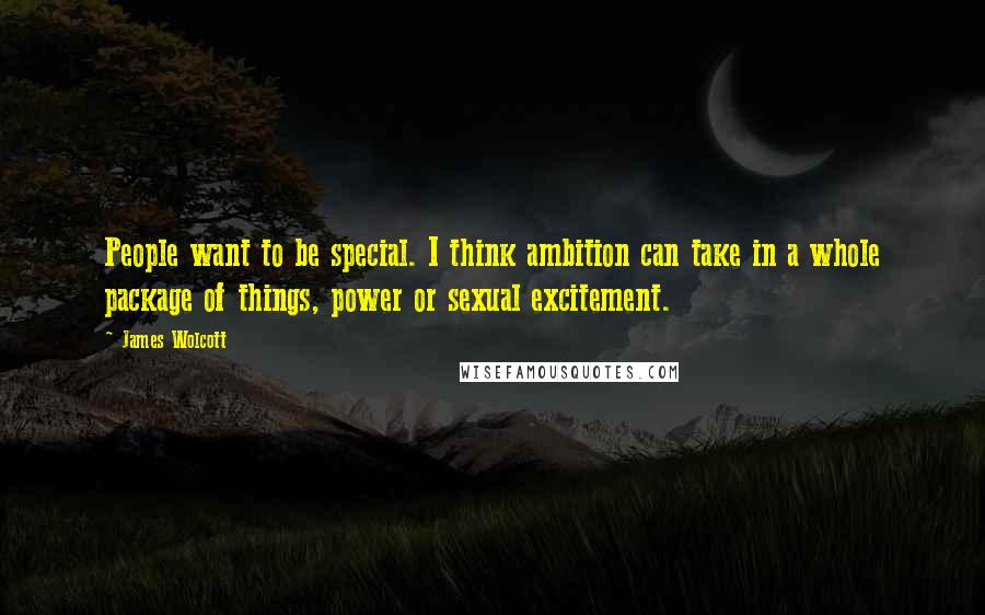 James Wolcott Quotes: People want to be special. I think ambition can take in a whole package of things, power or sexual excitement.