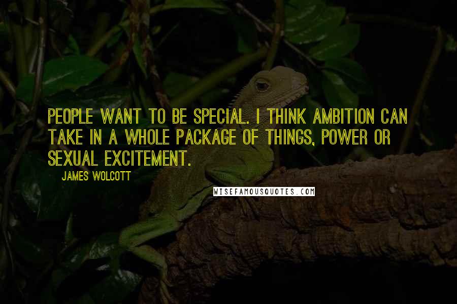 James Wolcott Quotes: People want to be special. I think ambition can take in a whole package of things, power or sexual excitement.