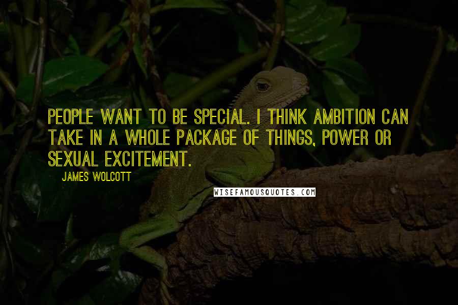 James Wolcott Quotes: People want to be special. I think ambition can take in a whole package of things, power or sexual excitement.