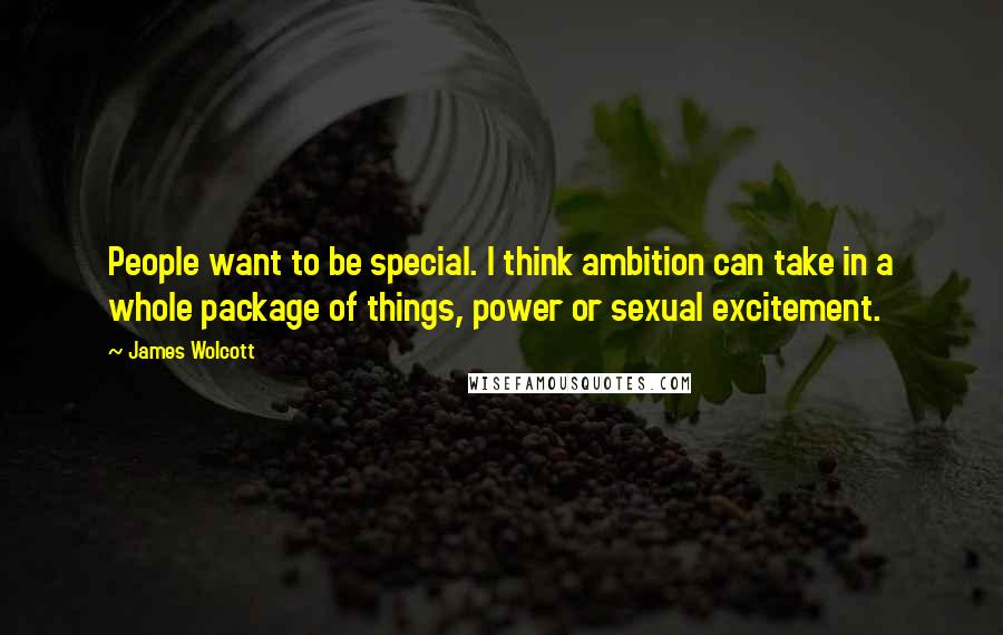 James Wolcott Quotes: People want to be special. I think ambition can take in a whole package of things, power or sexual excitement.