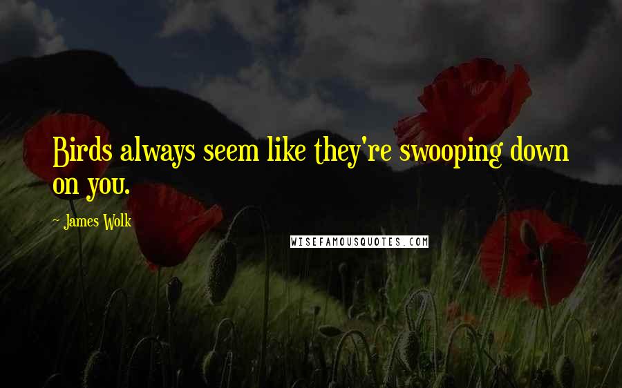 James Wolk Quotes: Birds always seem like they're swooping down on you.